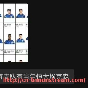 柠檬体育直播-2023-24赛季中尼克斯队战术体系显著改善重回季后赛行列